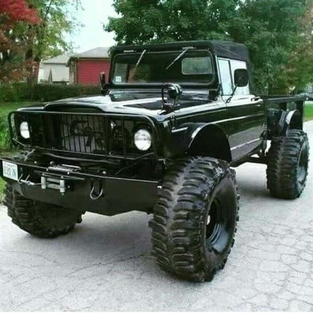 Custom Trucks Engineered to Stand Out (20 photos)