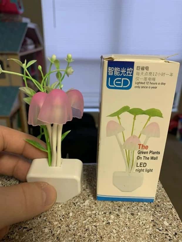 Why Deceptive Packaging Causes Trust Issues (20 photos)
