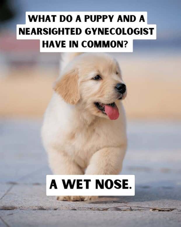 dirty jokes 19 Dirty Jokes Bringing Smiles To Everyone (21 photos)