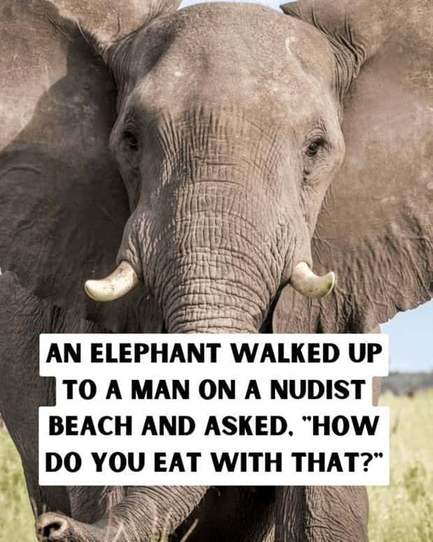 dirty jokes 4 Dirty Jokes Bringing Smiles To Everyone (21 photos)