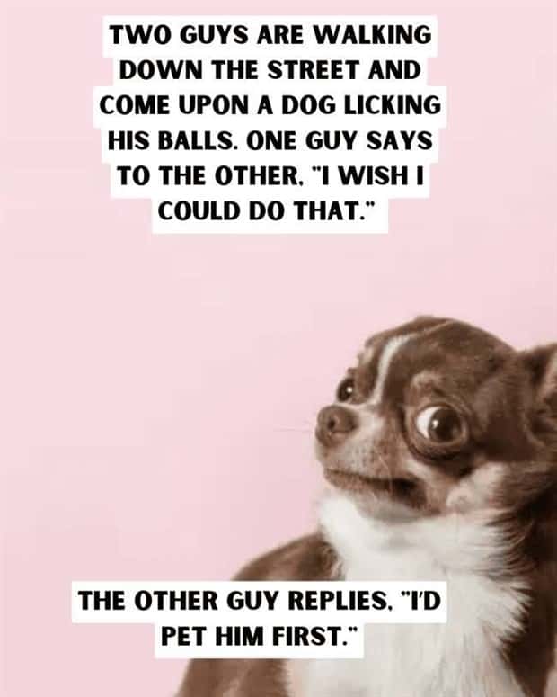 dirty jokes 7 Dirty Jokes Bringing Smiles To Everyone (21 photos)