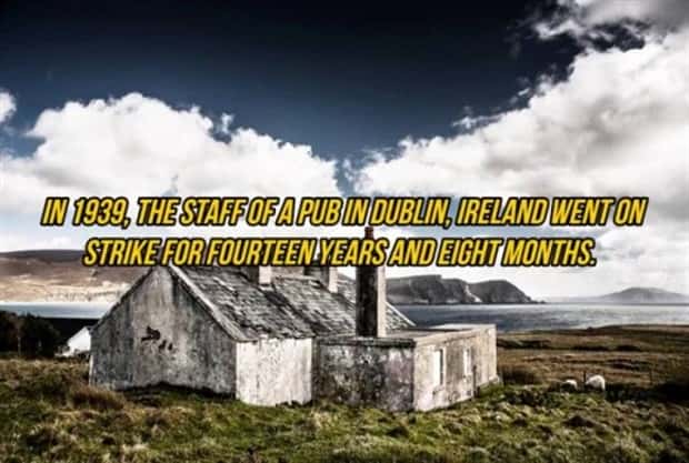 facts about pubs 14 Curious Pub Facts You Will Remember (17 photos)