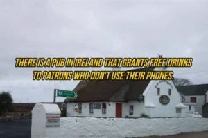 Curious Pub Facts You Will Remember (17 photos)