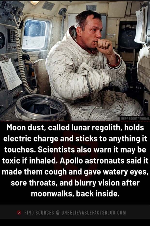 fun facts 1 1 Cool and Interesting Facts #486 (23 photos)
