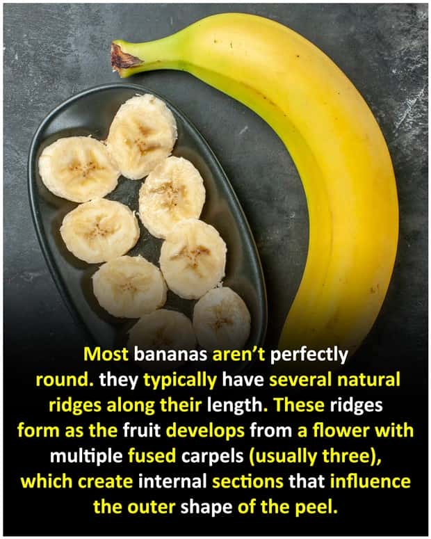 Cool and Interesting Facts #484 (20 photos)