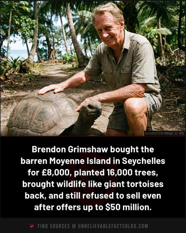 Cool and Interesting Facts #484 (20 photos)