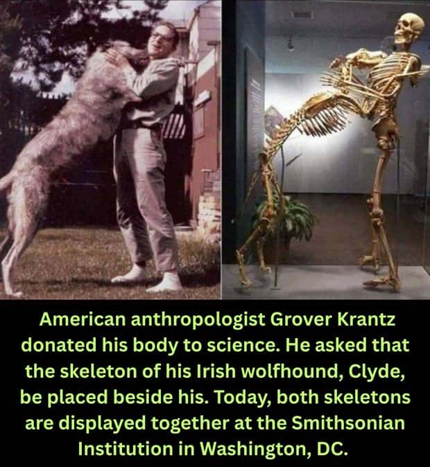 Cool and Interesting Facts #484 (20 photos)
