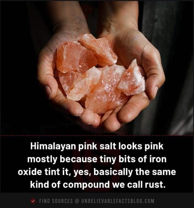 fun facts 13 1 Cool and Interesting Facts #486 (23 photos)