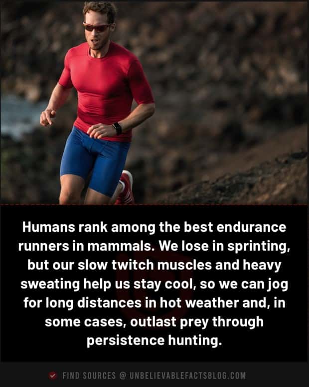 fun facts 14 1 Cool and Interesting Facts #486 (23 photos)