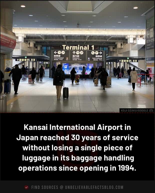 Cool and Interesting Facts #484 (20 photos)