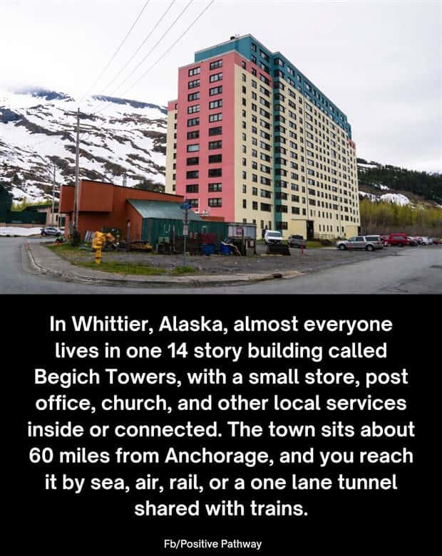 fun facts 16 1 Cool and Interesting Facts #486 (23 photos)