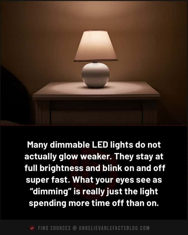 fun facts 17 1 Cool and Interesting Facts #486 (23 photos)