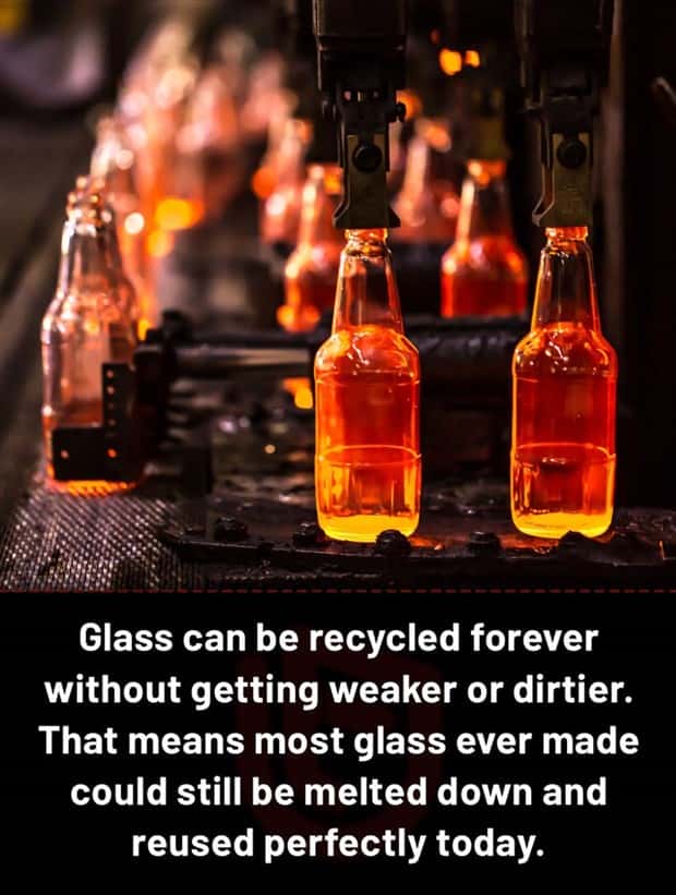 fun facts 3 1 Cool and Interesting Facts #486 (23 photos)