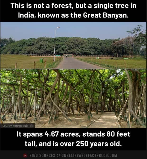 fun facts 6 1 Cool and Interesting Facts #486 (23 photos)
