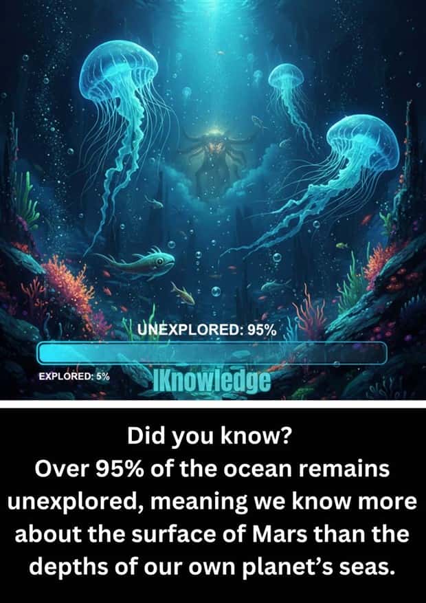 Cool and Interesting Facts #484 (20 photos)