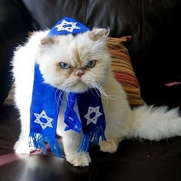 Get Ready for Funny Animals #442 (21 photos)