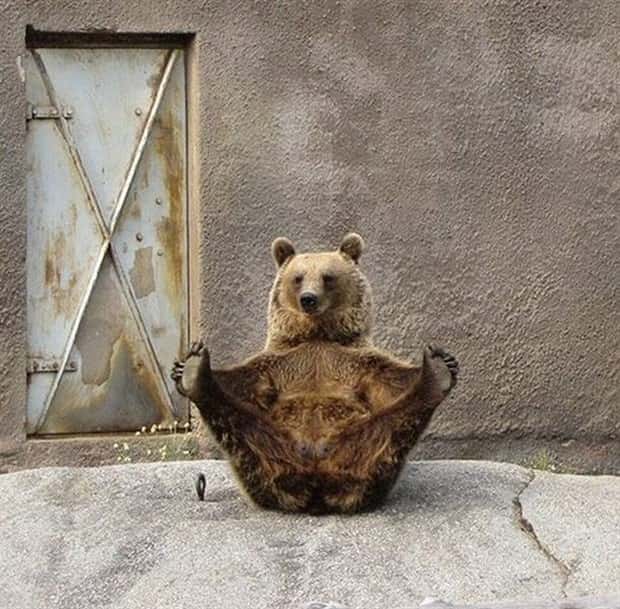 Get Ready for Funny Animals #443 (23 photos)