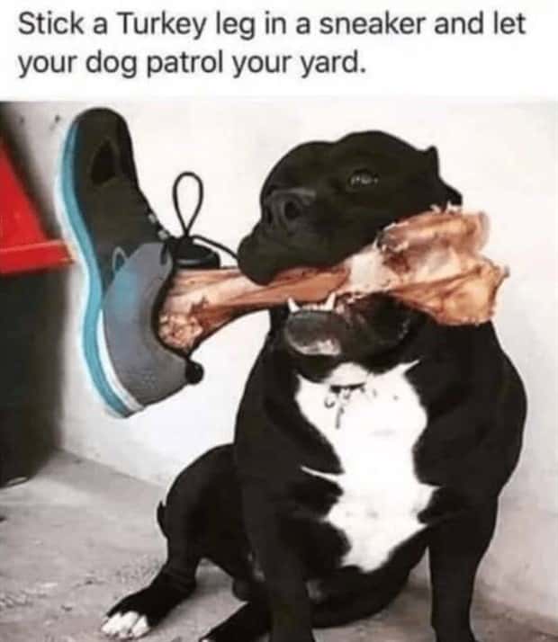 funny memes 15 Funny Pics and Memes to Make You Laugh #211 (19 photos)