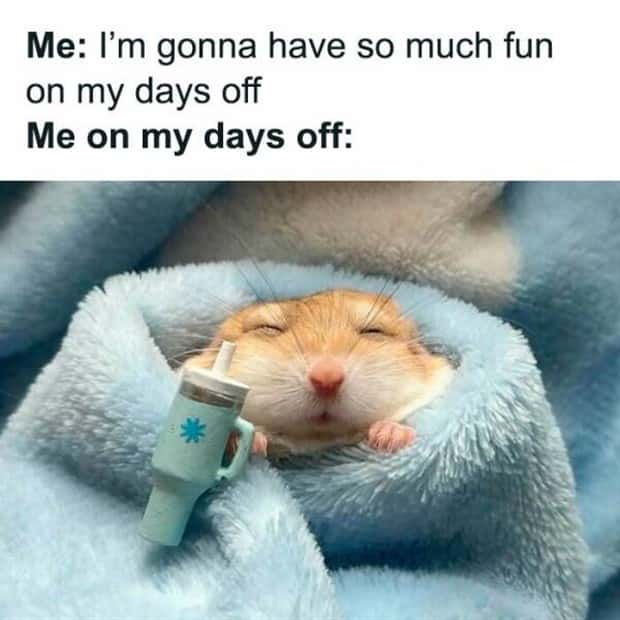 funny memes 17 Funny Pics and Memes to Make You Laugh #211 (19 photos)