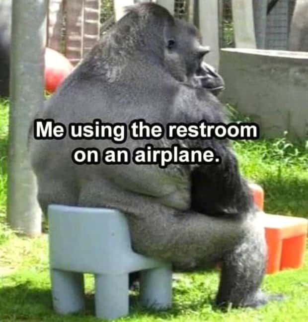 Funny Pics and Memes to Make You Laugh #210 (24 photos)