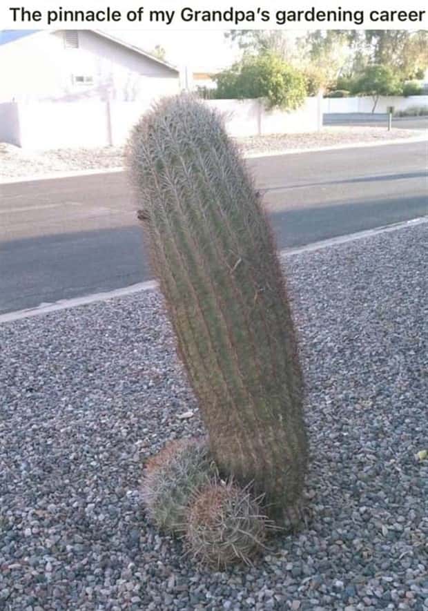 Funny Pics and Memes to Make You Laugh #210 (24 photos)