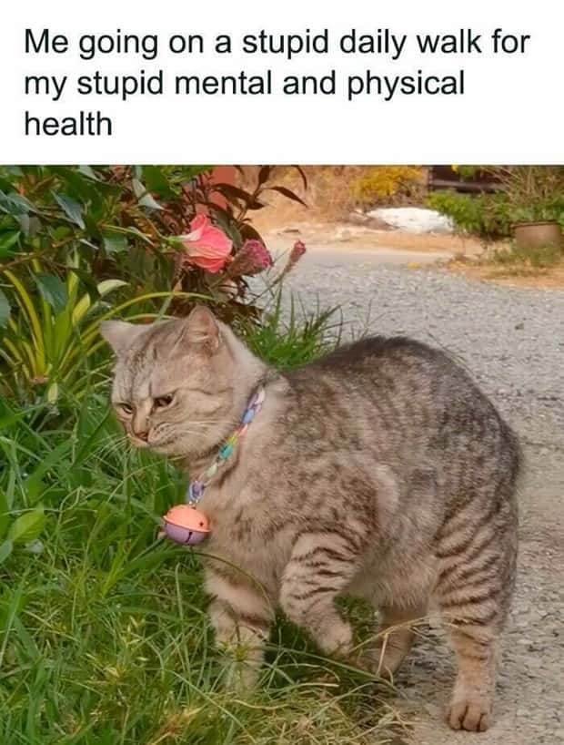 Funny Pics and Memes to Make You Laugh #212 (20 photos)