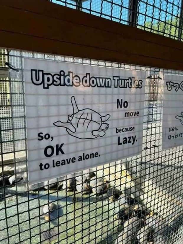 funny signs 11 35 Funny Signs That Demand Your Attention (35 photos)