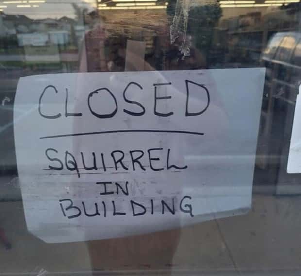 funny signs 15 35 Funny Signs That Demand Your Attention (35 photos)