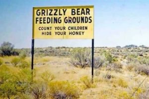 35 Funny Signs That Demand Your Attention (35 photos)
