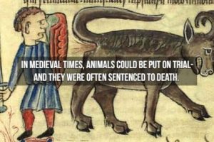15 Crazy Historical Facts From Long Ago (15 photos)
