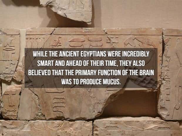 15 Crazy Historical Facts From Long Ago (15 photos)