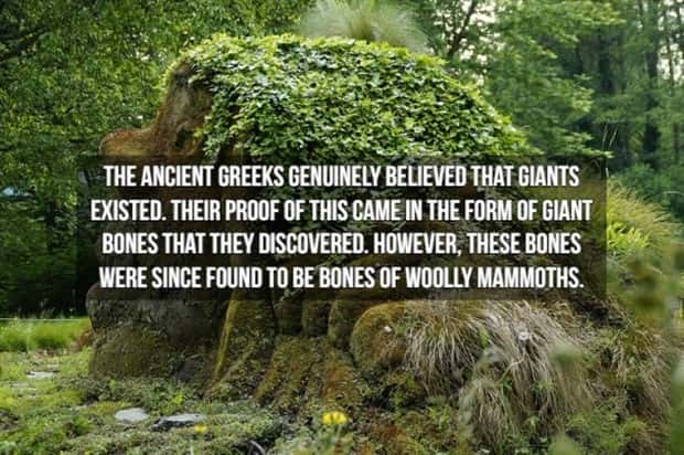 15 Crazy Historical Facts From Long Ago (15 photos)