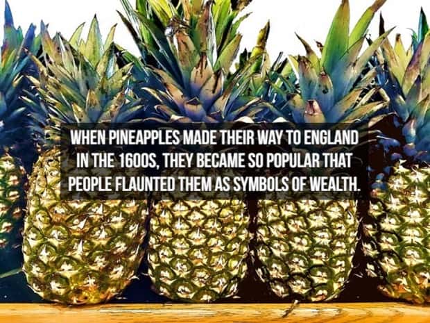 15 Crazy Historical Facts From Long Ago (15 photos)