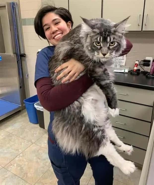 Animals So Huge They Look Unreal (26 photos)