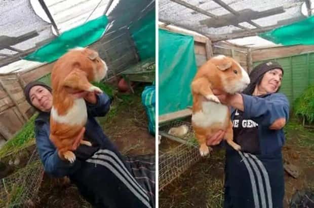 Animals So Huge They Look Unreal (26 photos)