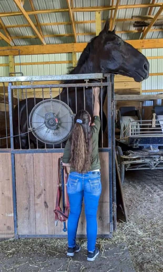 Animals So Huge They Look Unreal (26 photos)