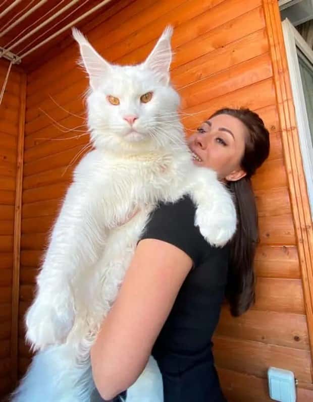 Animals So Huge They Look Unreal (26 photos)