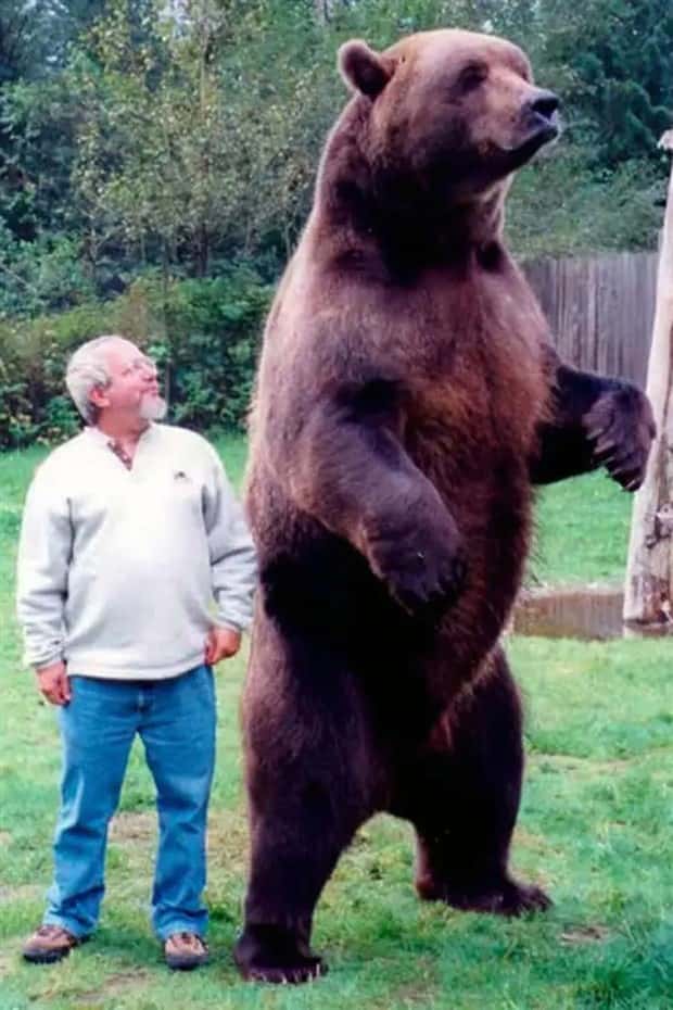 Animals So Huge They Look Unreal (26 photos)