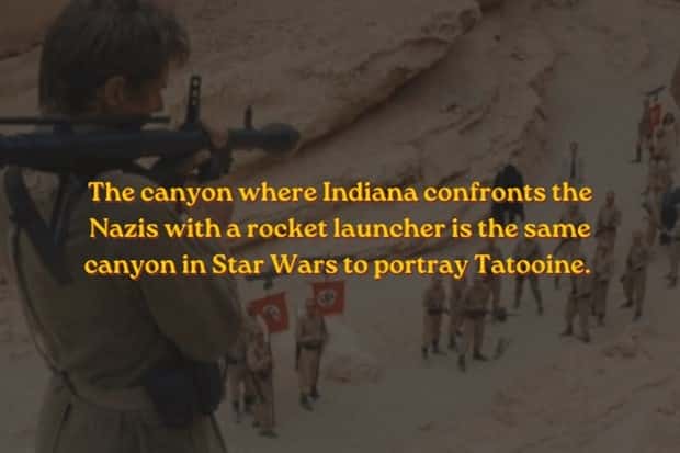 Indiana Jones Facts Every Adventure Fan Needs (15 photos)