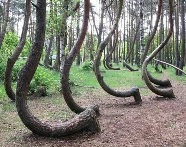 Klyker Picdump #1996 (41 photos)