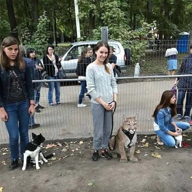 Klyker Picdump #2010 (45 photos)
