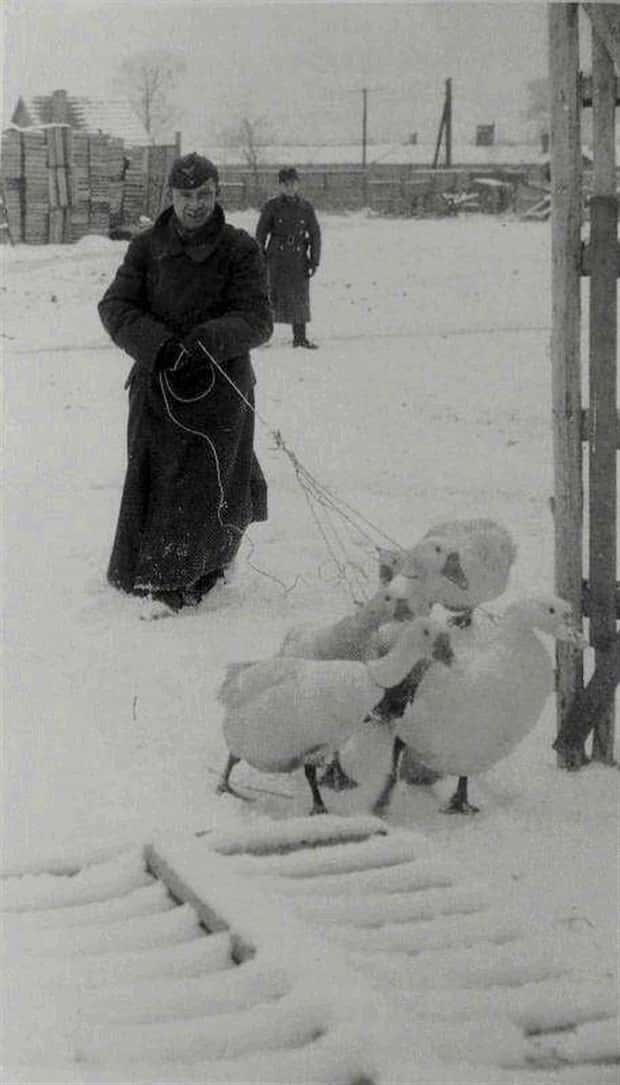 Klyker Picdump #2014 (44 photos)