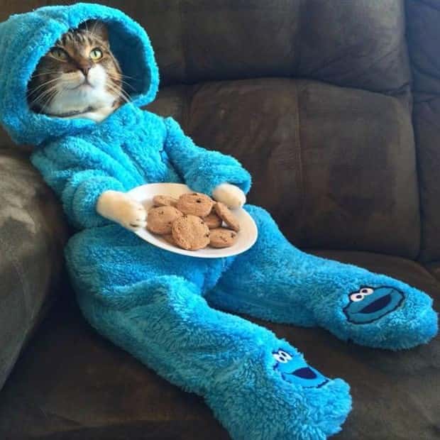 Klyker Picdump #2014 (44 photos)