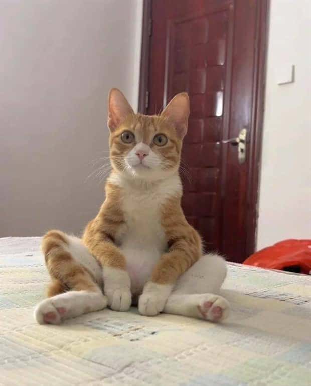 Klyker Picdump #2015 (45 photos)