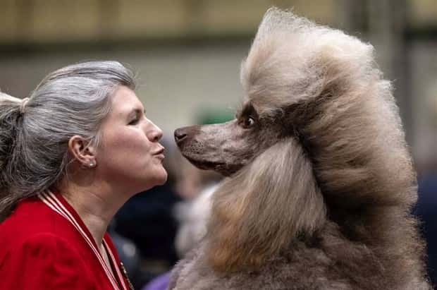 Klyker Picdump #2016 (41 photos)