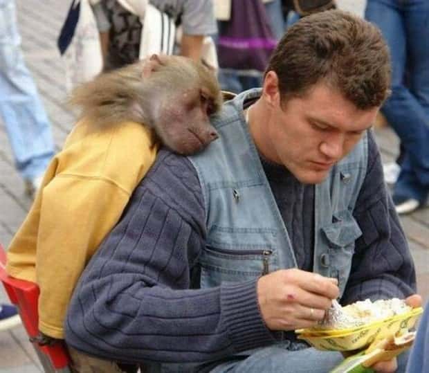 Klyker Picdump #1998 (43 photos)
