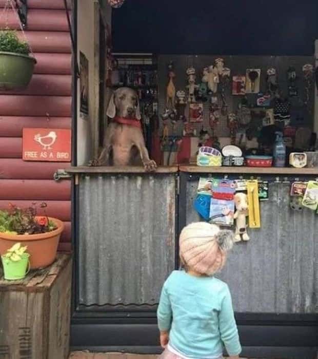Klyker Picdump #2017 (42 photos)