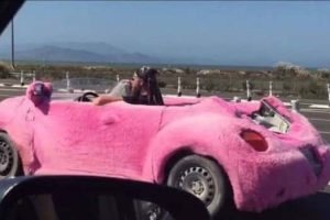 Klyker Picdump #2017 (42 photos)