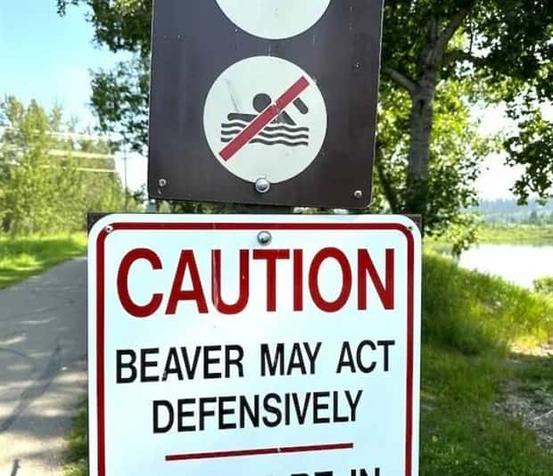Klyker Picdump #2000 (45 photos)