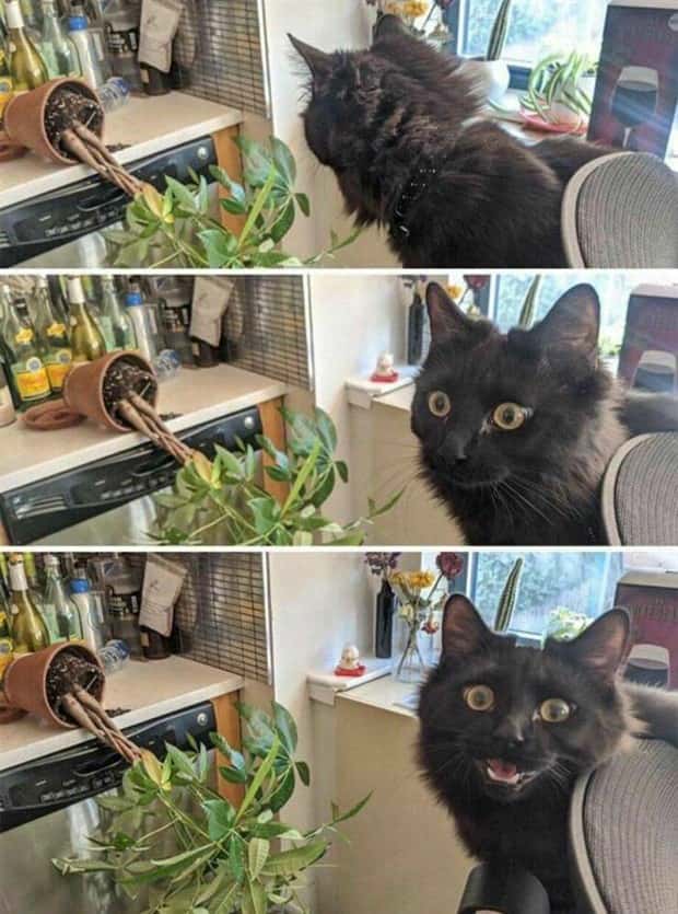 Klyker Picdump #2000 (45 photos)